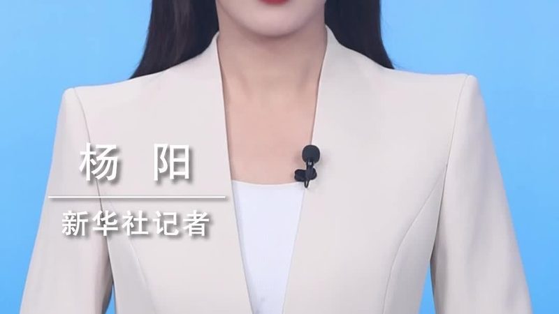 制造业软件定制开发：如何选择合适的方案
