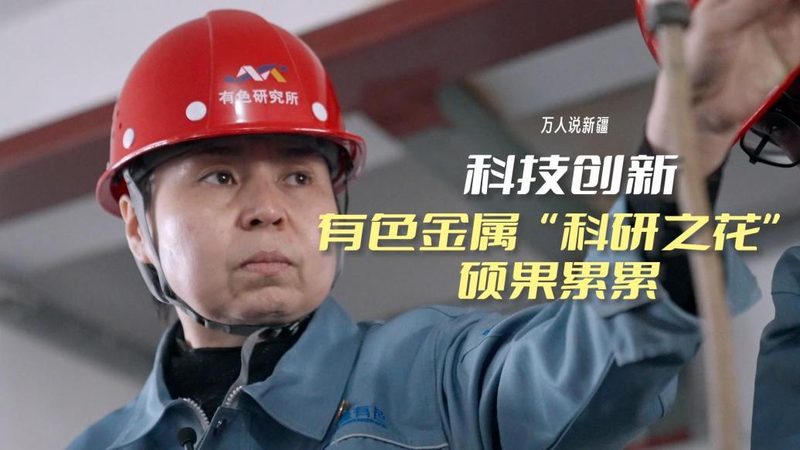 信息化建设中的关键参数：数字化转型的核心考量**